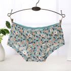 Summer Soft Seamless Briefs Underwear Women Sexy Underpants Lingerie Briefs Hipster Underwear Ultra-thin Comfort Panties